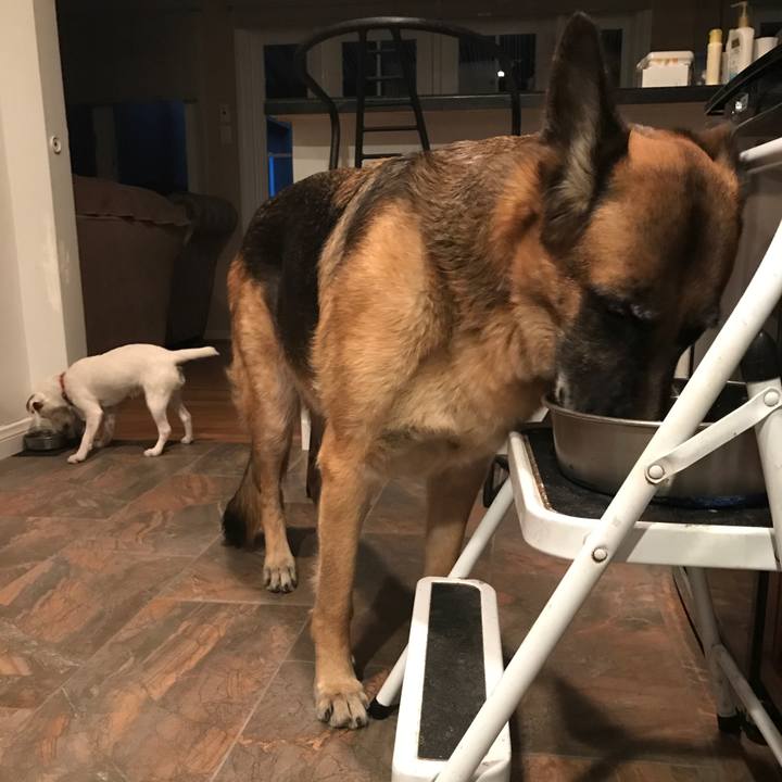 Add3e7ea 80e2 405d a0aa 319af15e3269