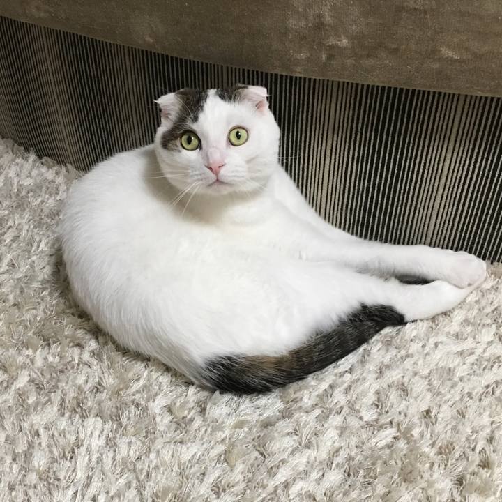 Add406de bc2d 4cdc a5da b540ce2d77d1