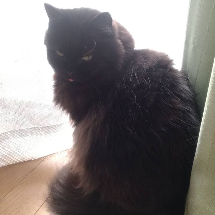 Add41b65 389b 42f4 bb45 bcbd02b6f8e3