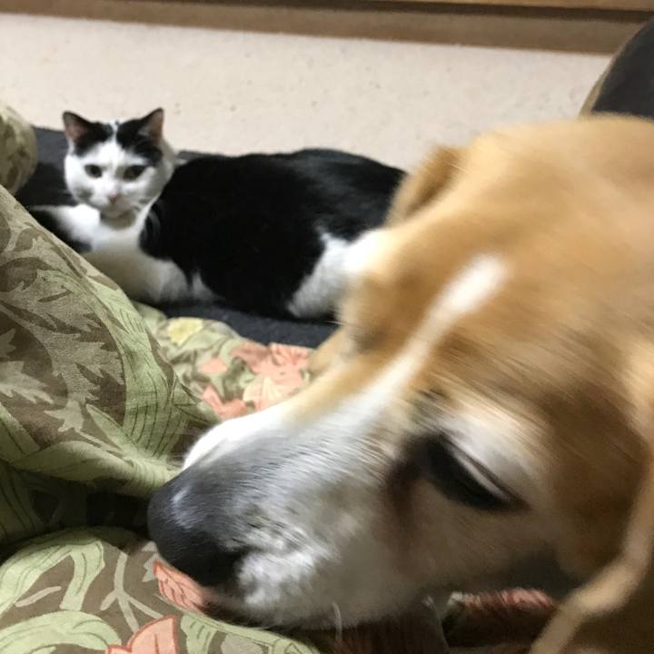 Add565fa 807c 481b 8628 68f3b540d03a