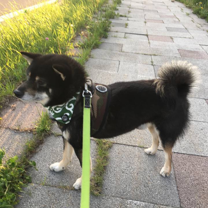 Add61b3a 57d7 4a0b bc62 8cf12eb87711