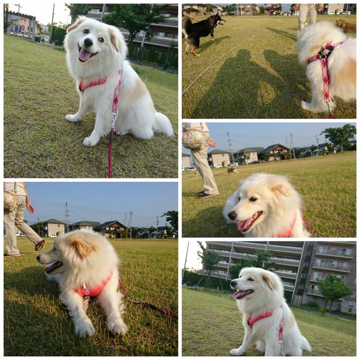 Add702d6 1372 41ea 92d7 4d41ac68539b