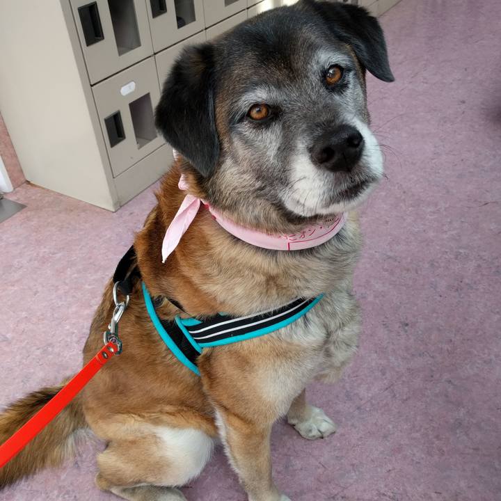 Add768cb d0cb 494b 80a0 7d0e4ca8a895