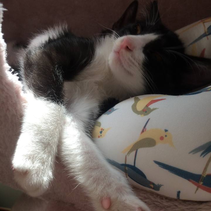 Add7a857 03bb 48d7 a691 703ef0d6897f