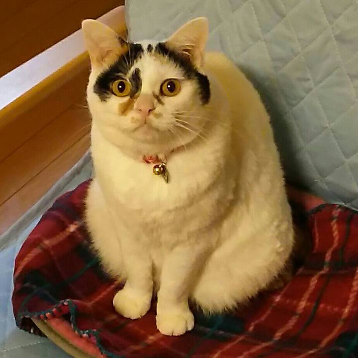 Add7aa1b 761f 47fa ba46 46f1c7f2a90a