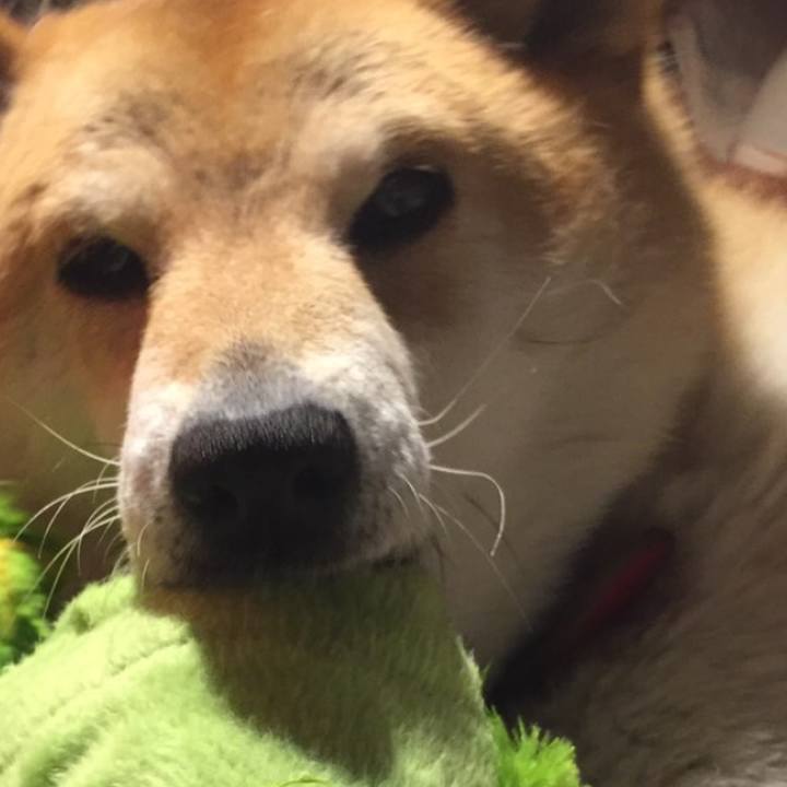 Add7e7e3 9e88 4616 9c20 80169cea4120