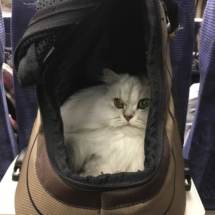 Add828c1 a0e5 493d 8c7c 7c74b25d7bb2