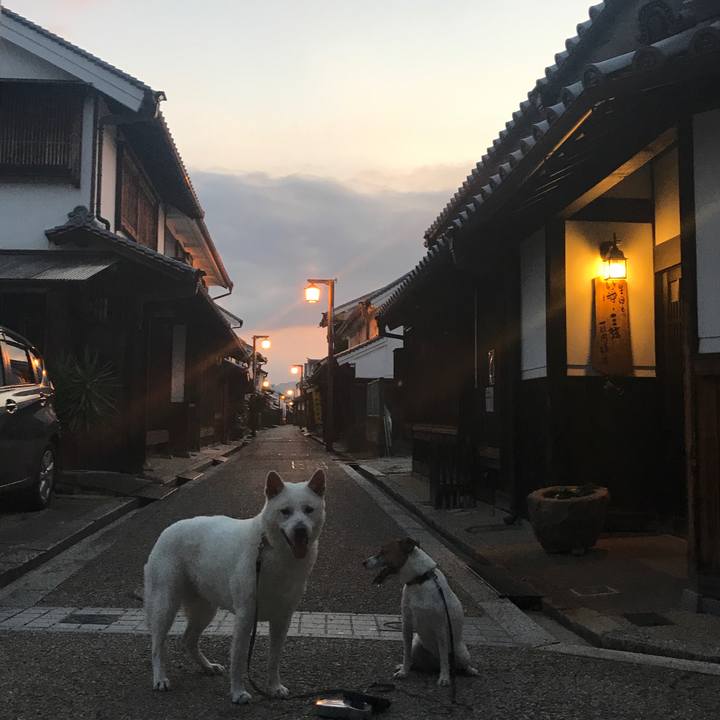 Add8524e 296f 43f1 b730 e0c724c42578