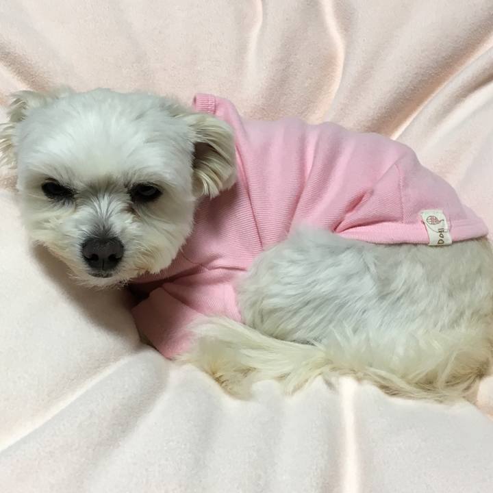 Add895fd 46c0 4ab4 9358 95ee5cd30c4d