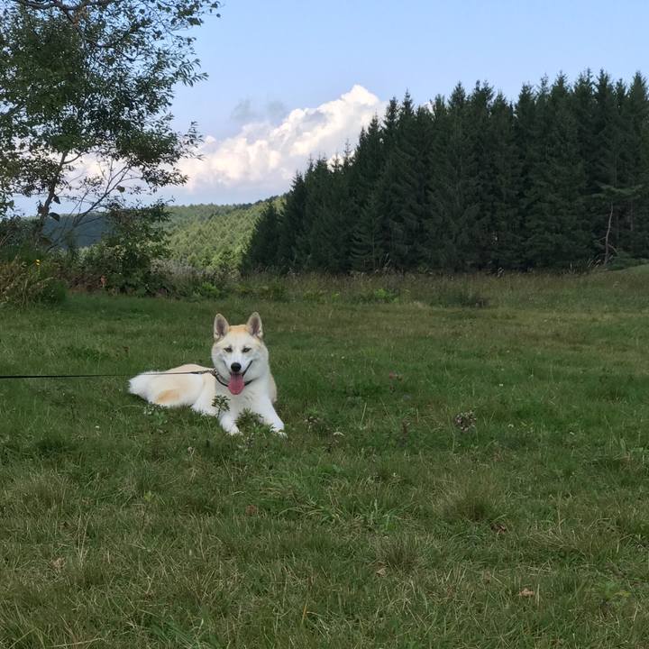 Add8bf18 d27d 4be5 a0d1 d885eb14489f