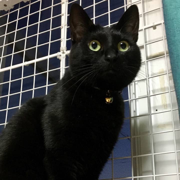 Add8c9ef 7193 4749 979b 0c6a15d84580