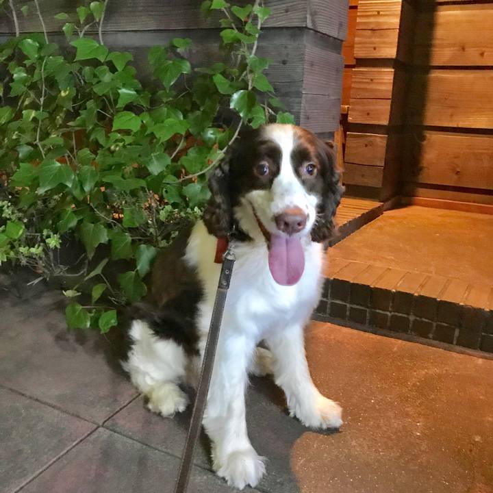 Add9d297 394f 4724 b765 bec1e0db70c6