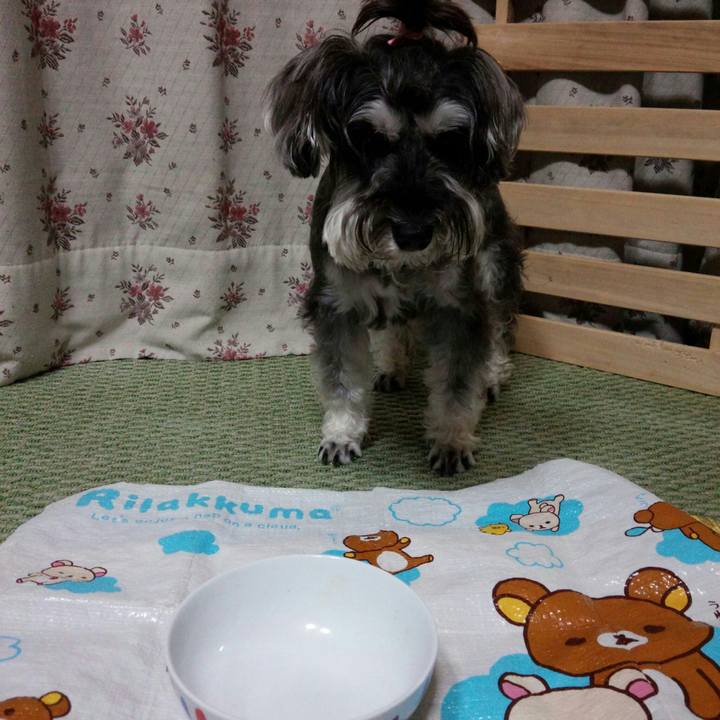 Addaec3a cb1f 470e b0b4 0f11295eafa8