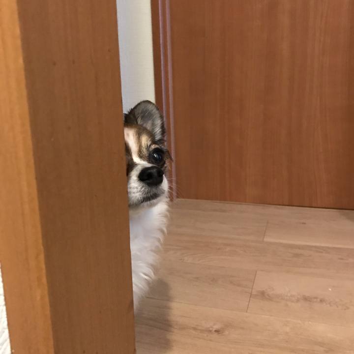 Addb0137 7061 43ea b2e5 f04d9a8db8a3