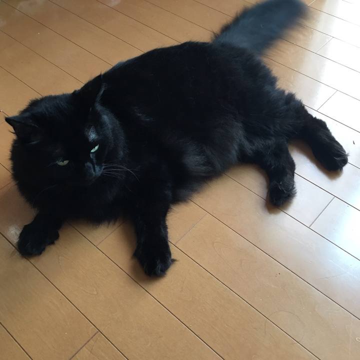 Addb16ea df22 41ee b514 987488f6a9d8