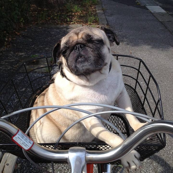 Addb46e2 5bf0 4b49 b3c3 d3aa5d14a0b7