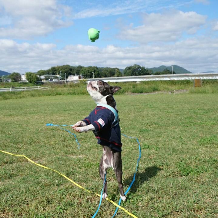 Addc3ac8 d6a2 4de6 afeb c9cb6885b949