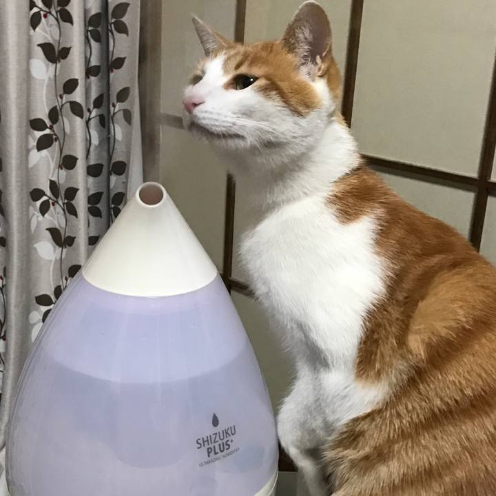 Addc8f60 11ed 434f a3a7 4f2d30e690f1