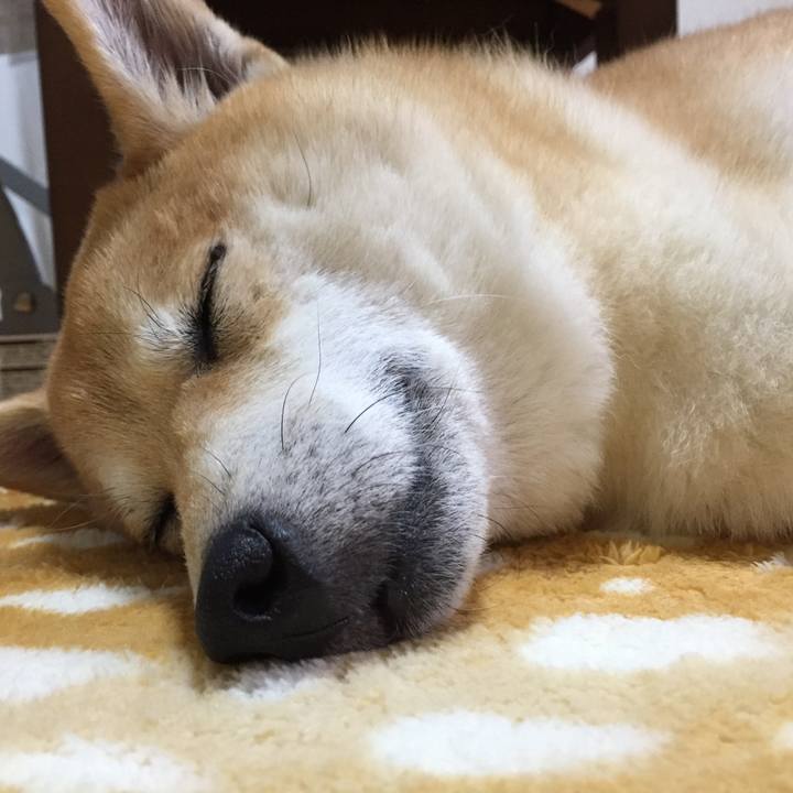 Addcb873 0b91 42d0 95bb 7ed089d01471