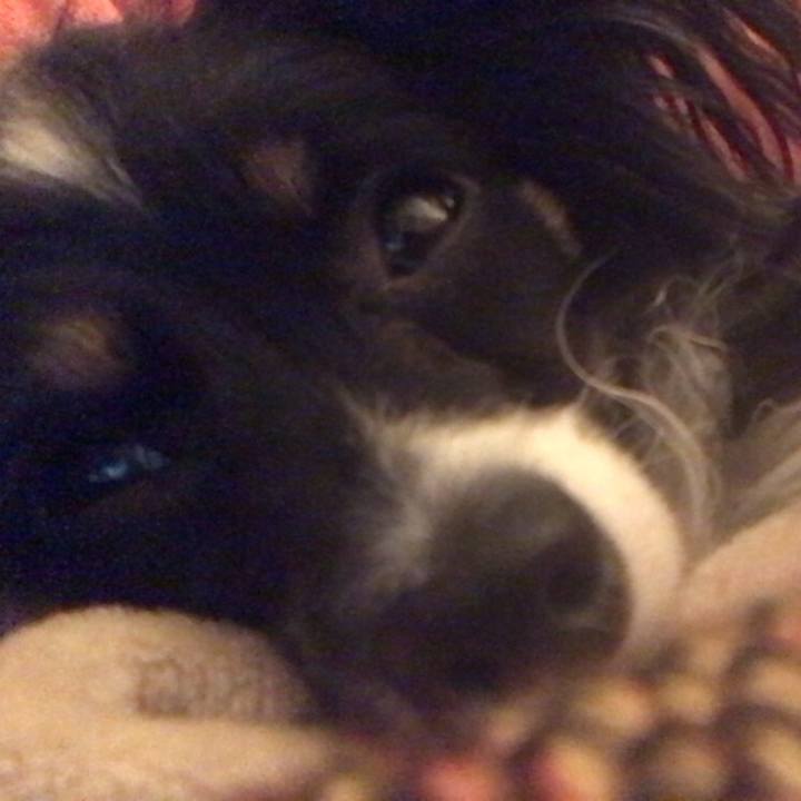 Adddfe8a fede 47db a424 254d120a3dae