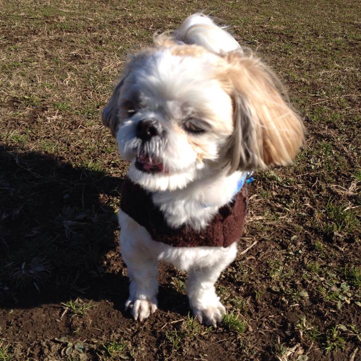 Adde5633 06c0 4058 bea4 9d222dbac876