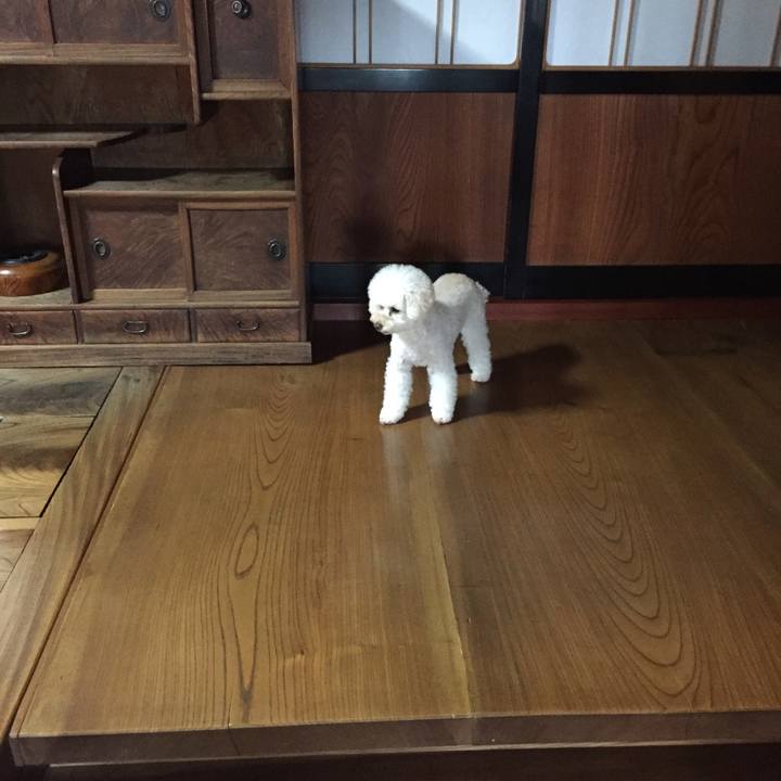 Addef1a1 8ab2 44b9 b40b 7889b24cbcb1