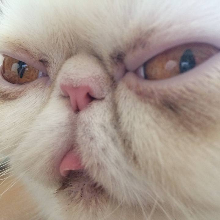 Addf838b 899a 4145 bf29 5c62942db637