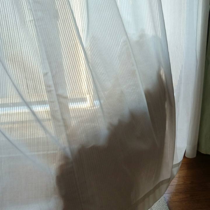 Addfc815 1aee 46a1 b2ea e1f589d2d3b2