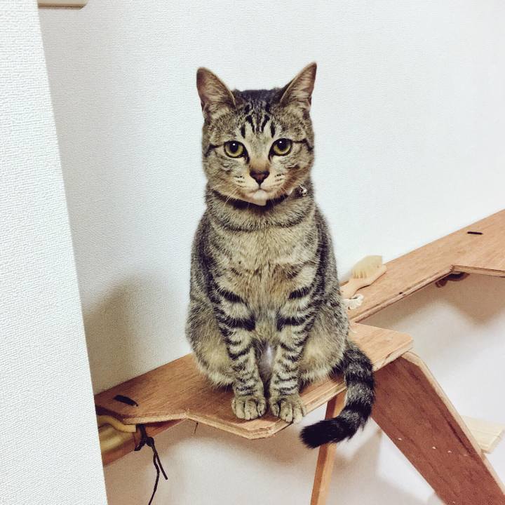 Addfcb9e eefa 453e 8491 a91dbf7fe131