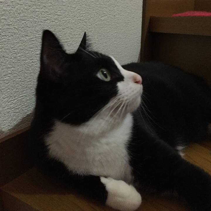 Ade0934d ea32 44ce 8e05 690b6a6095fa