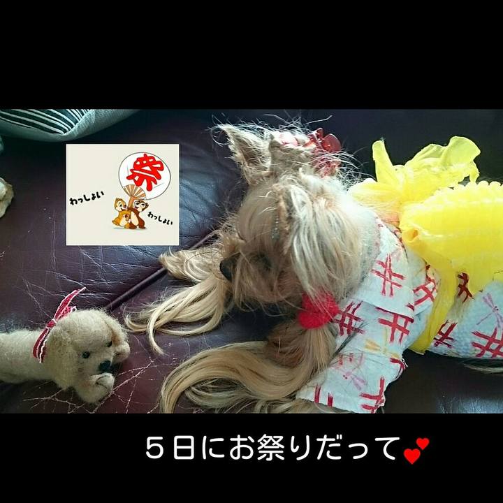 Ade0d8a1 bf7a 49aa 88dd d99973290040