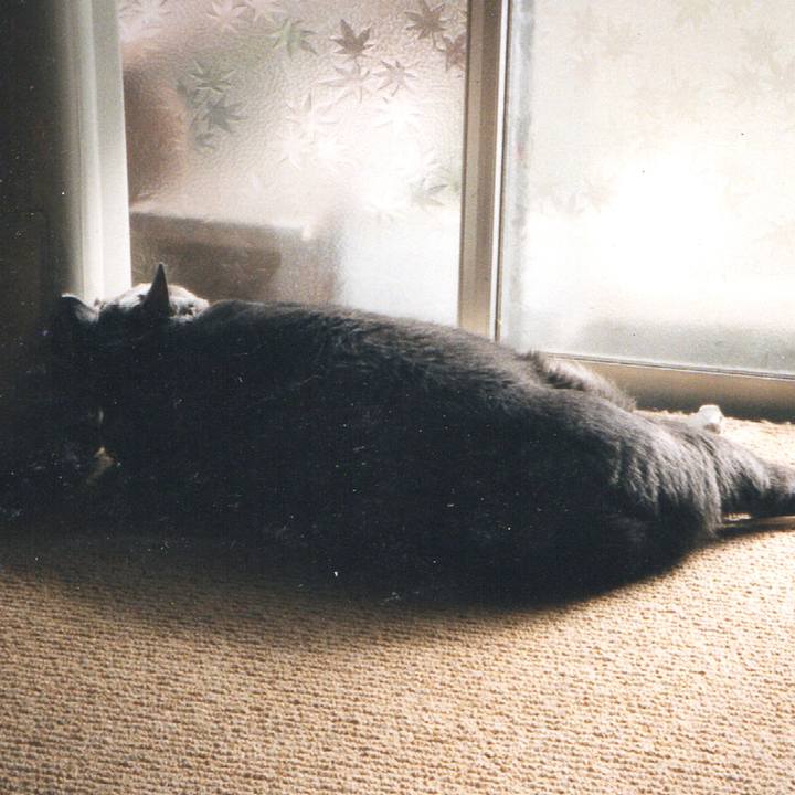 Ade1127d 0a9f 4246 8a3f 66bf73fae7c1