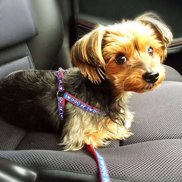 Ade19258 4ece 4bcd 8183 0318c4962784