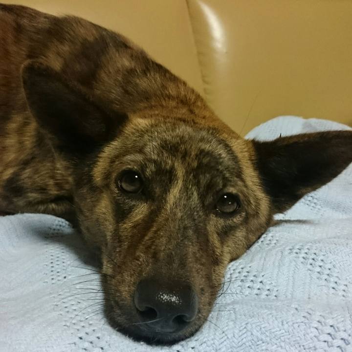 Ade274bb e8b0 4e49 a93c fe7d92dcacc2