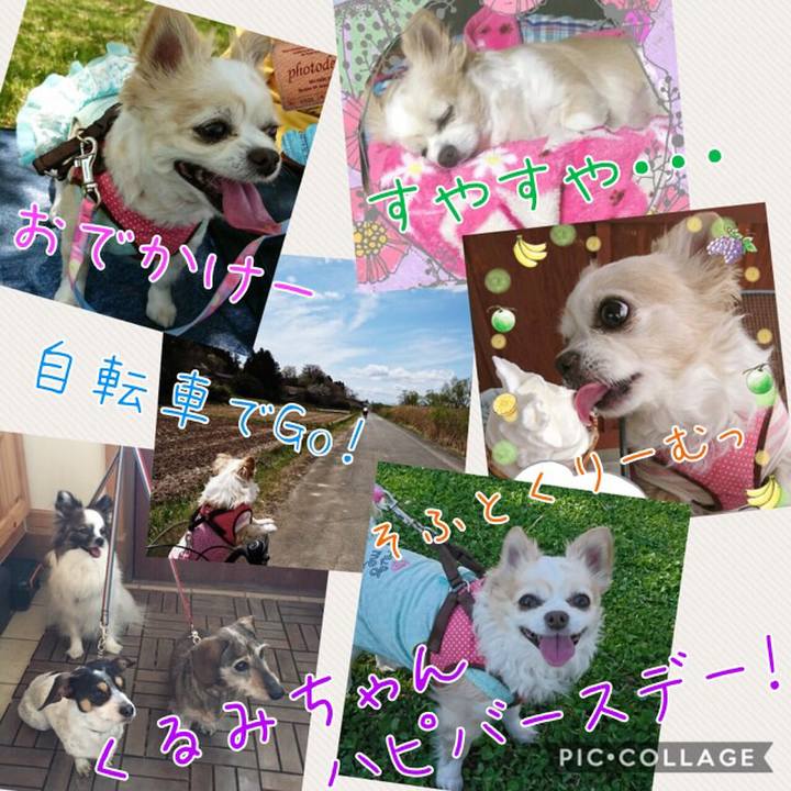 Ade2b4bd 6b56 40ed ab40 b00992403538