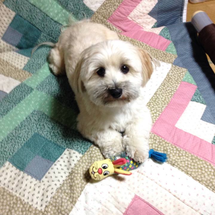 Ade2bc50 5a1c 4391 9de4 b186a98fc260