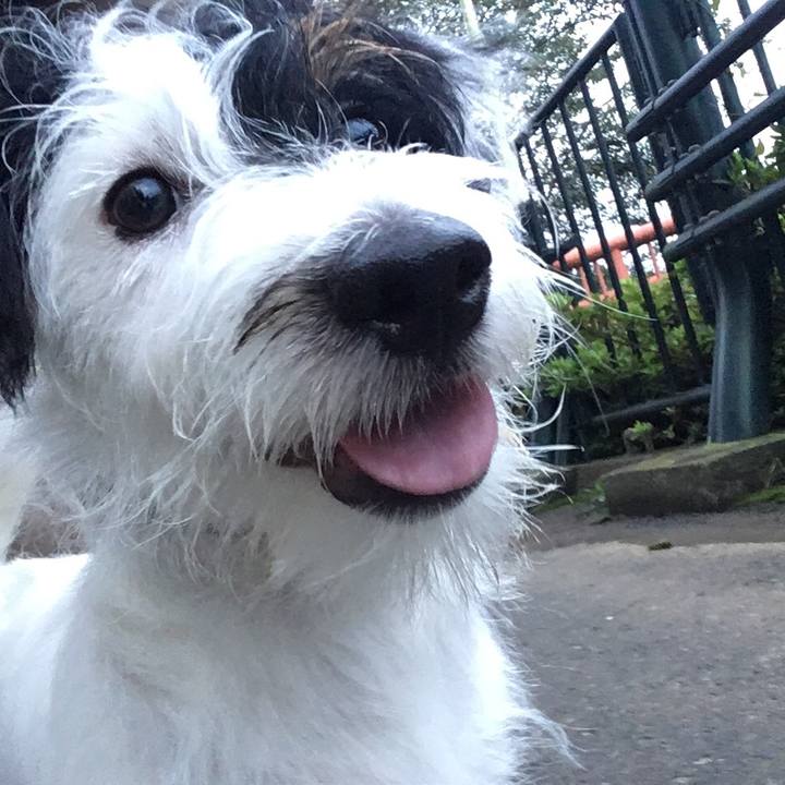 Ade2eb34 3d3c 48f9 9e92 1c6ce7b5862c