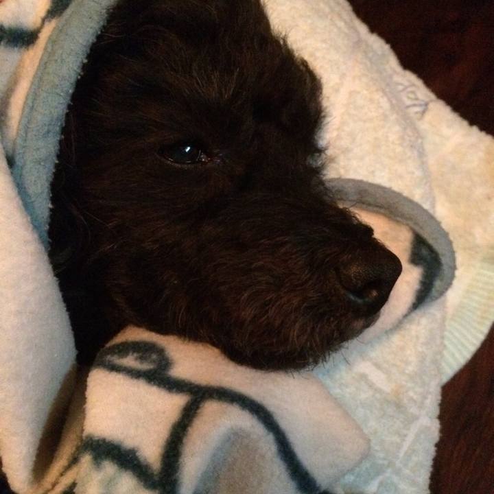 Ade321a0 3e58 467a a977 ca038616b6ee