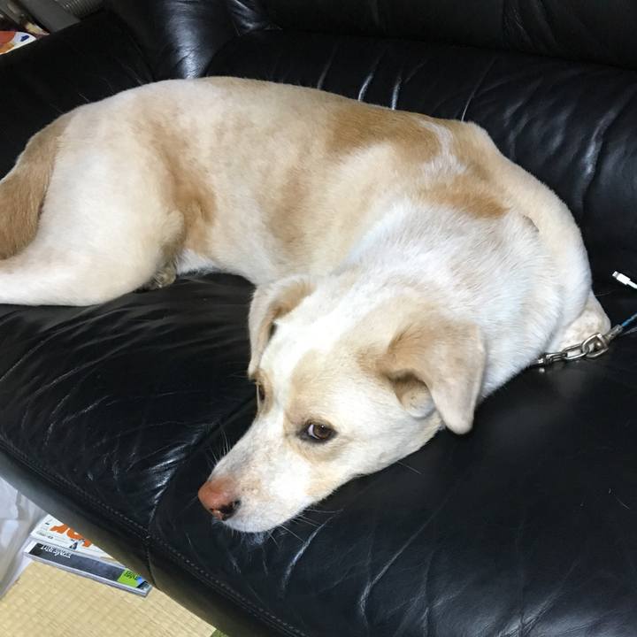 Ade335ad aafb 40e9 b6b5 2176dba4aa79