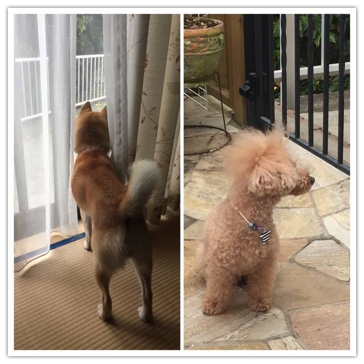 Ade341e3 ea98 4a83 b8bd 146ed670be44