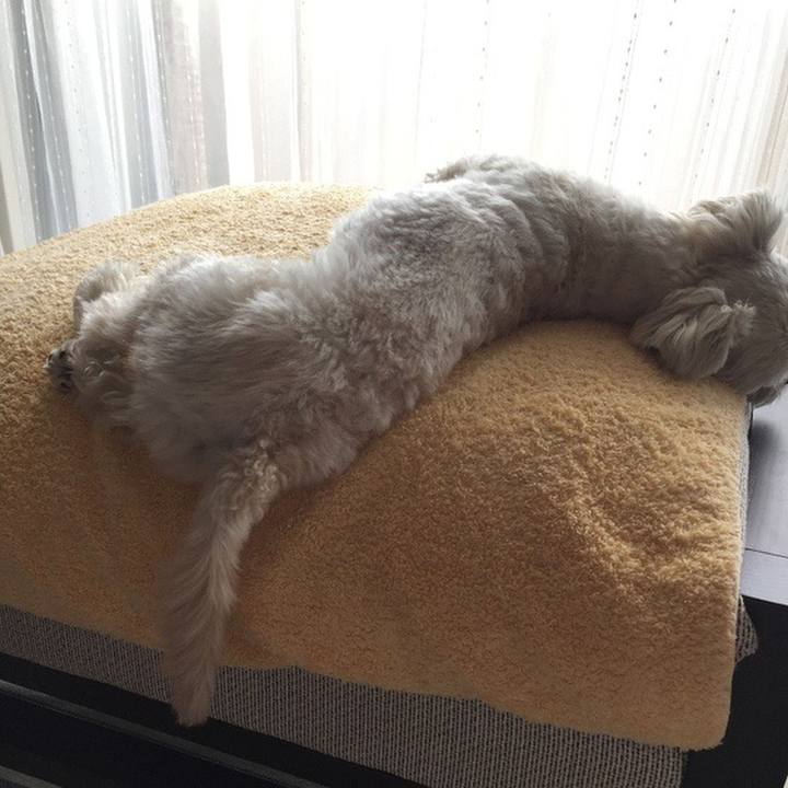 Ade3ffdb 1de9 4e41 b439 d9cff9ad47bc