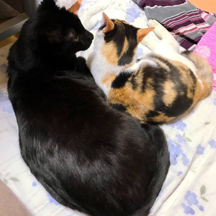 Ade404ce d682 4234 ab8a 17c5e38a1e1b