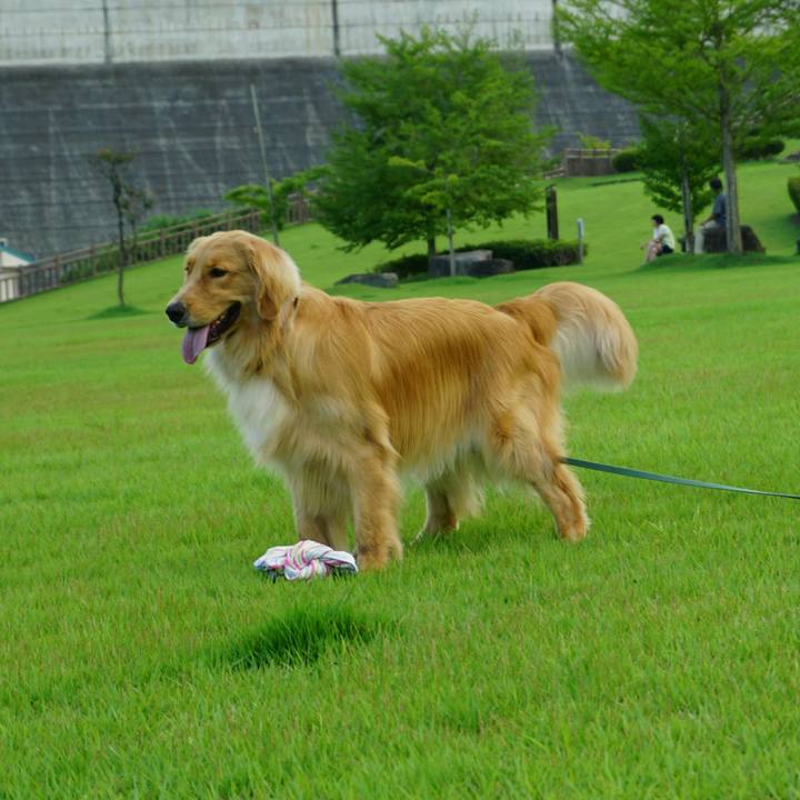 Ade56eab 79da 45ac ba3c 50911e700d16