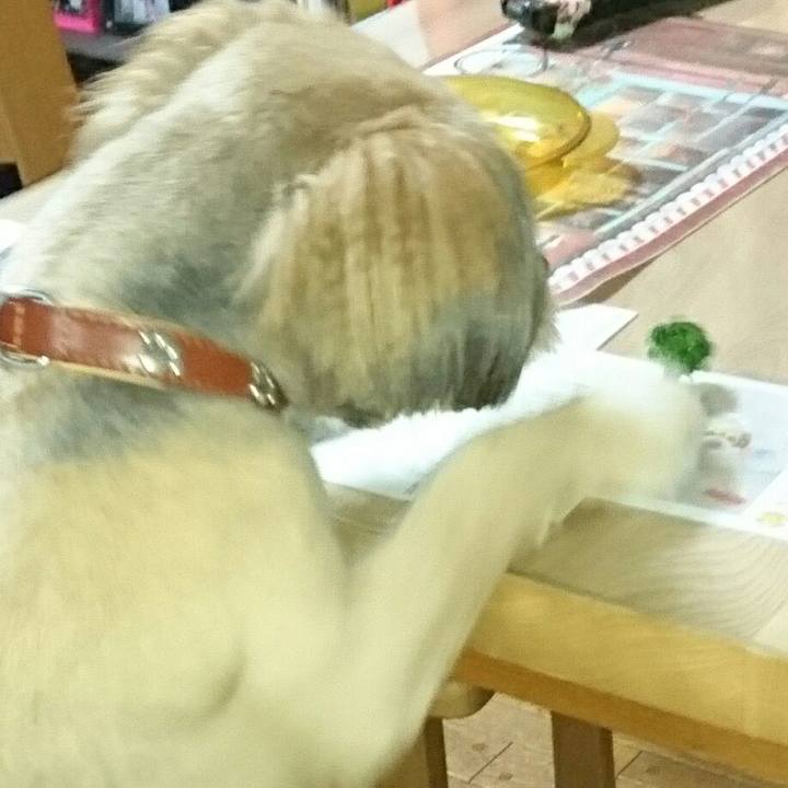 Ade5a082 b23d 4dd7 892d 902f917c3d2f