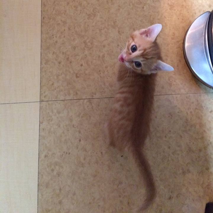 Ade5dded fa5d 4398 871d 9ff749cc1261