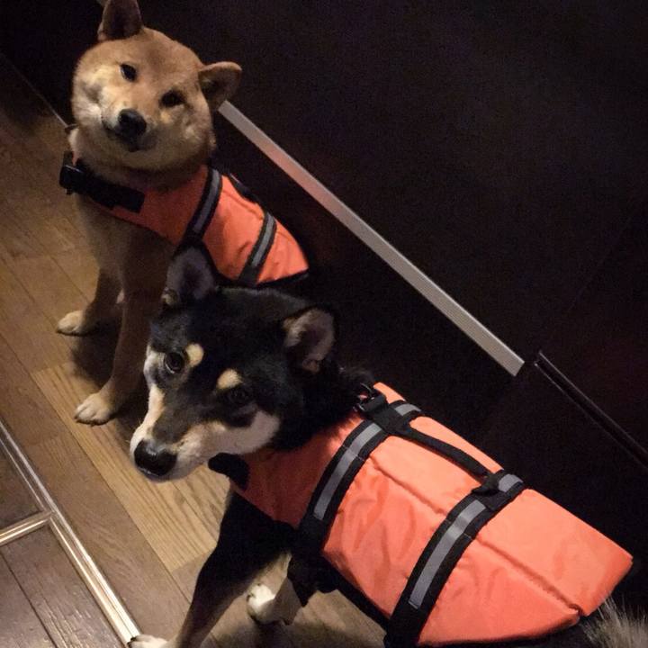 Ade67234 6e3d 4305 a616 f6919e6d40ed