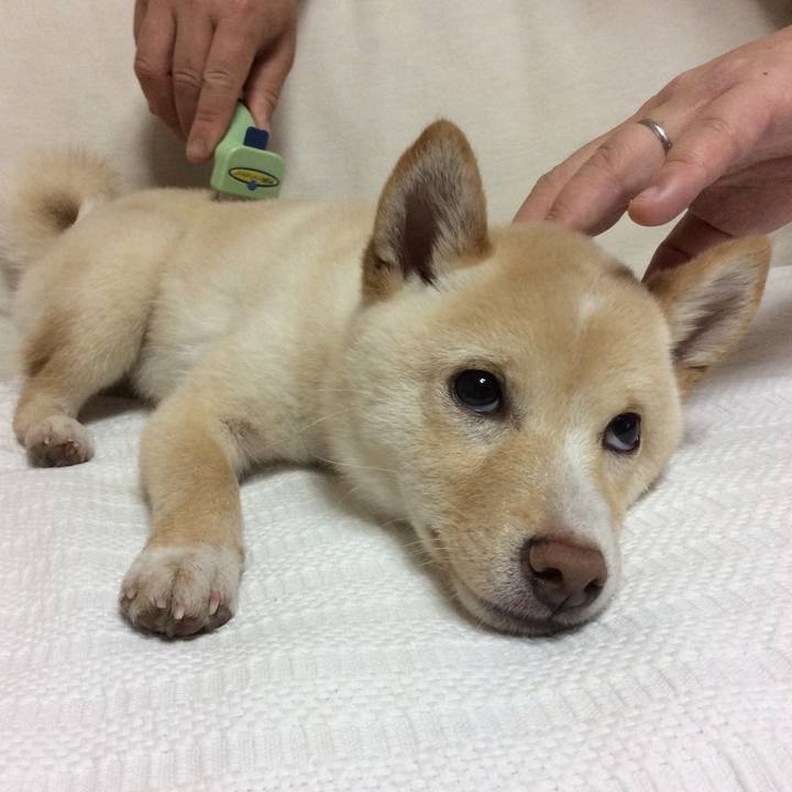 Ade7084d e48f 4563 b90f 8aaa1e726aad