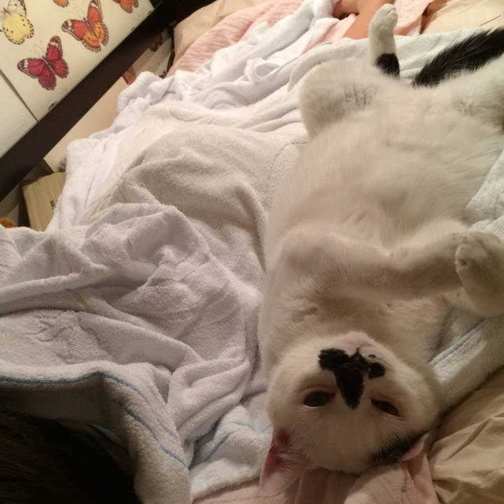 Ade7632a 211c 43f1 9086 f49b07978d31