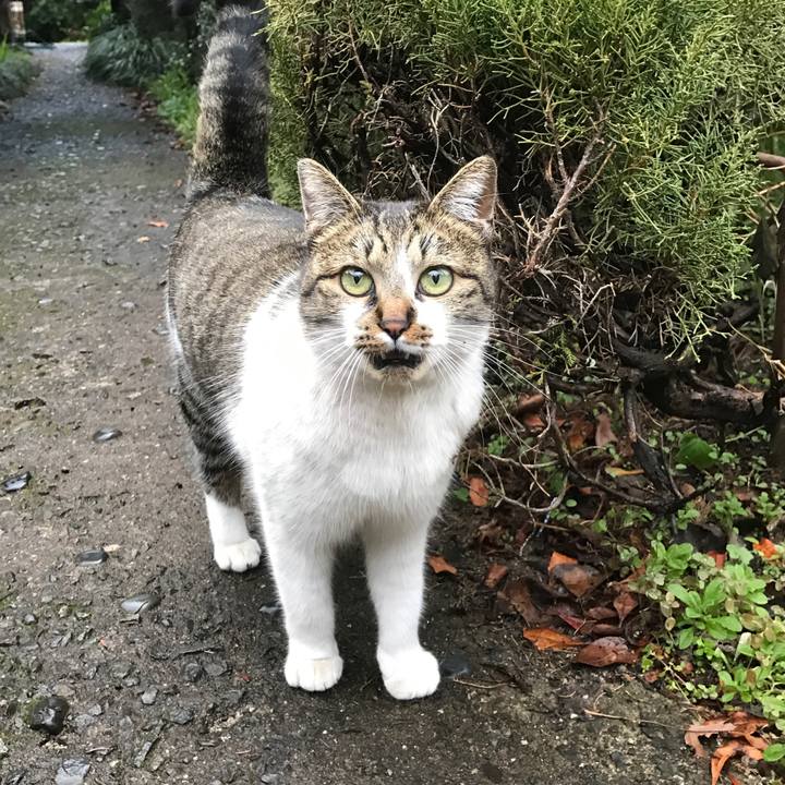 Ade76a12 f0d0 4339 86eb 0d1dca13c7fc