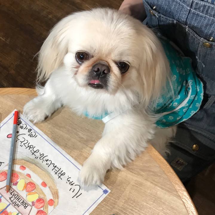 Ade79ad5 9bfd 4fa0 b24e efcfea5510b3